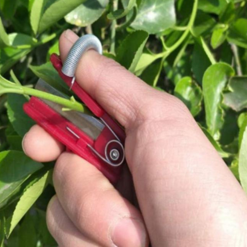 Harvest Shears Stainless Steel Precision Cut & Compact Reach