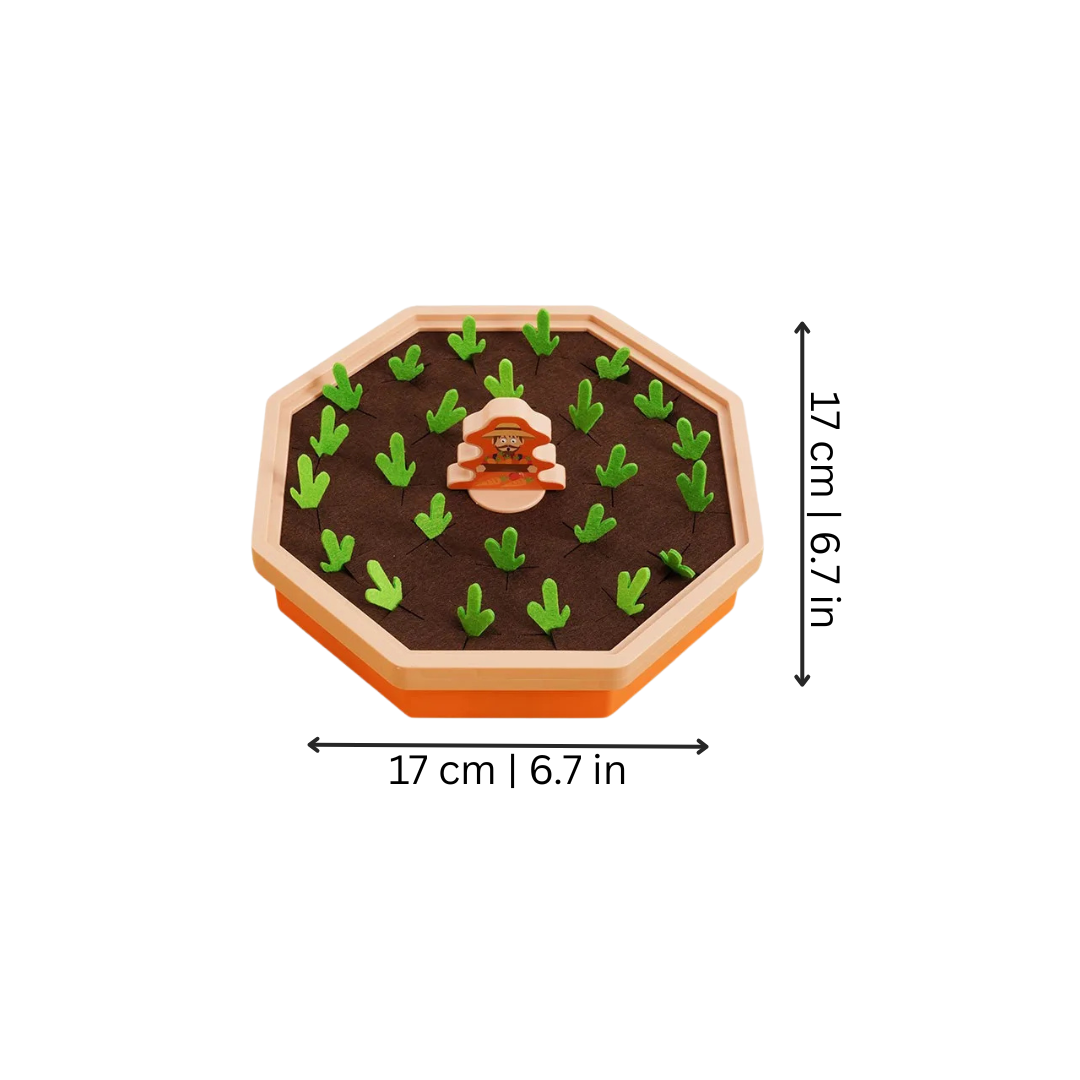Harvesting Toy Wooden Pull-Out Carrot