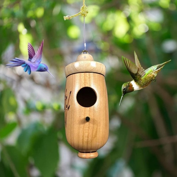 Hummingbird Feeder Natural Wood Precise Entry Hole