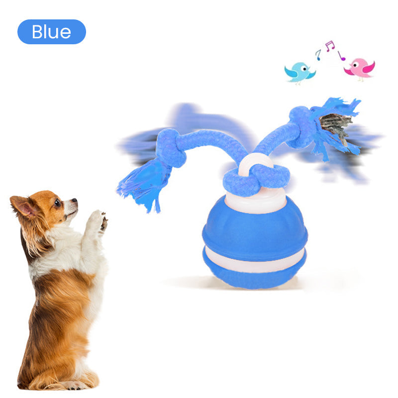 Interactive Cat Ball LED Light & Bird Sounds USB Rechargeable