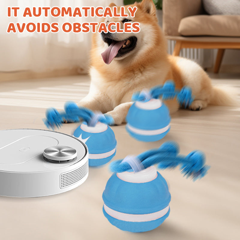 Interactive Cat Ball LED Light & Bird Sounds USB Rechargeable