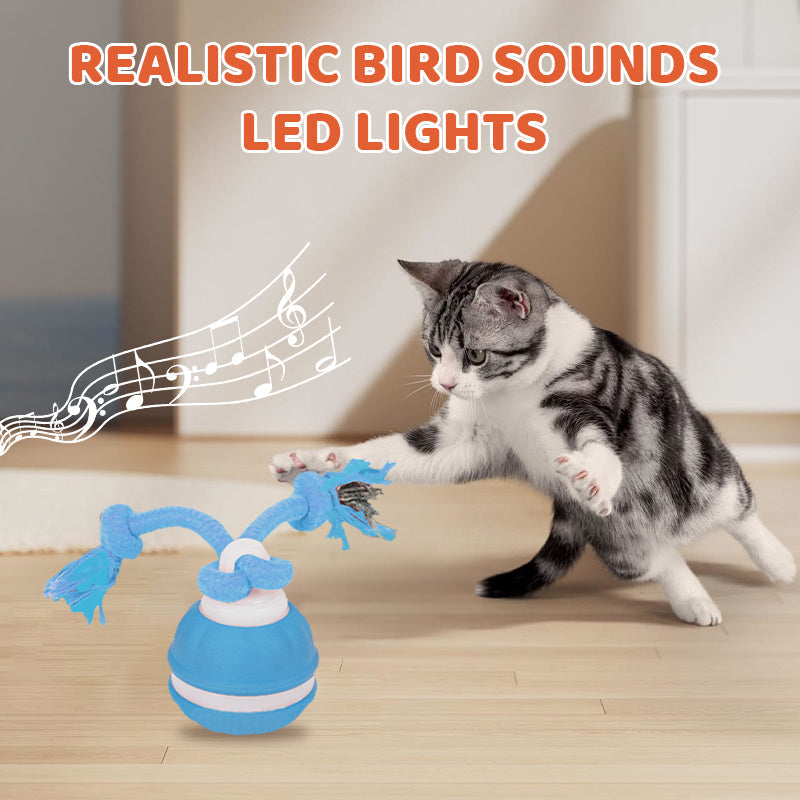 Interactive Cat Ball LED Light & Bird Sounds USB Rechargeable