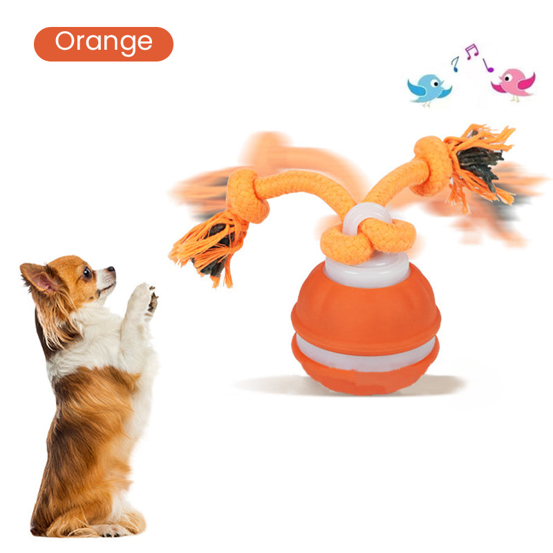 Interactive Cat Ball LED Light & Bird Sounds USB Rechargeable