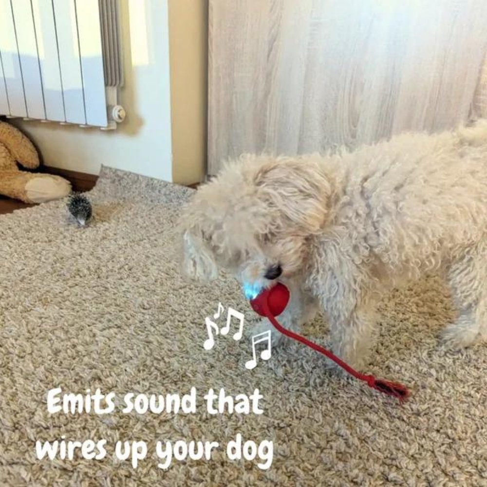 Interactive Dog Toy Self-Rolling Durable Non-Toxic Plastic