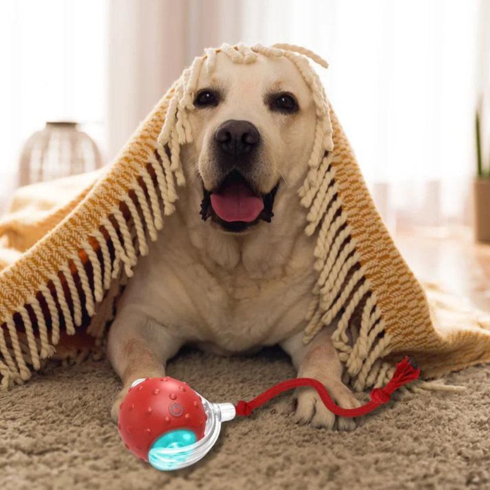 Interactive Dog Toy Self-Rolling Durable Non-Toxic Plastic