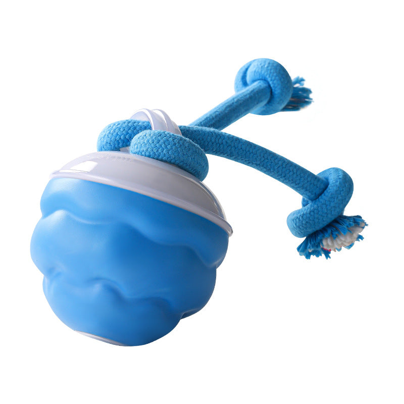 Interactive Dog Toy Sound-Activated & LED Obstacle Avoidance
