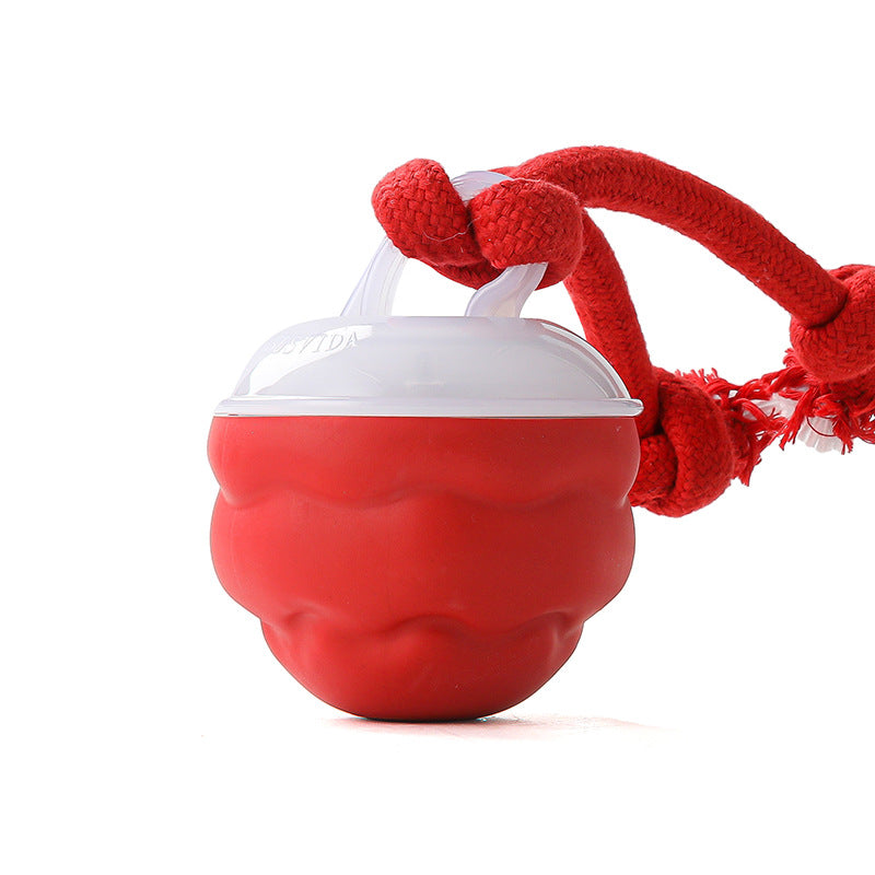 Interactive Dog Toy Sound-Activated & LED Obstacle Avoidance
