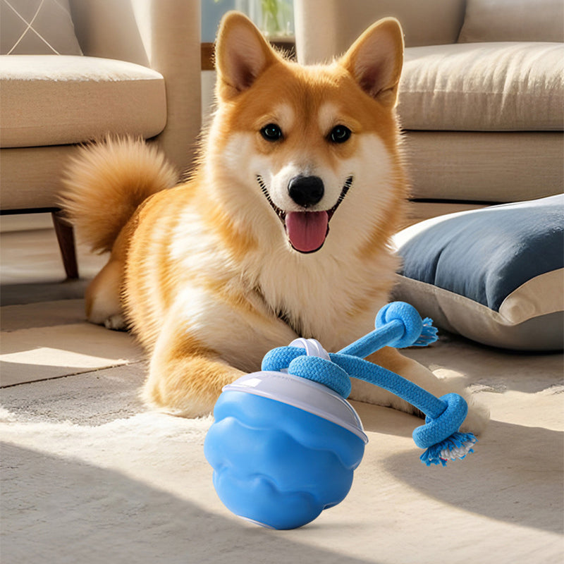 Interactive Dog Toy Sound-Activated & LED Obstacle Avoidance