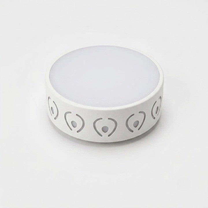 LED Ceiling Light Crystal Acrylic Selectable Warm & Cool White