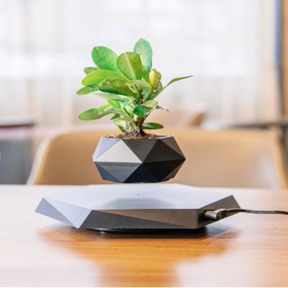 Levitating Planter Magnetic Levitation 360° Rotation