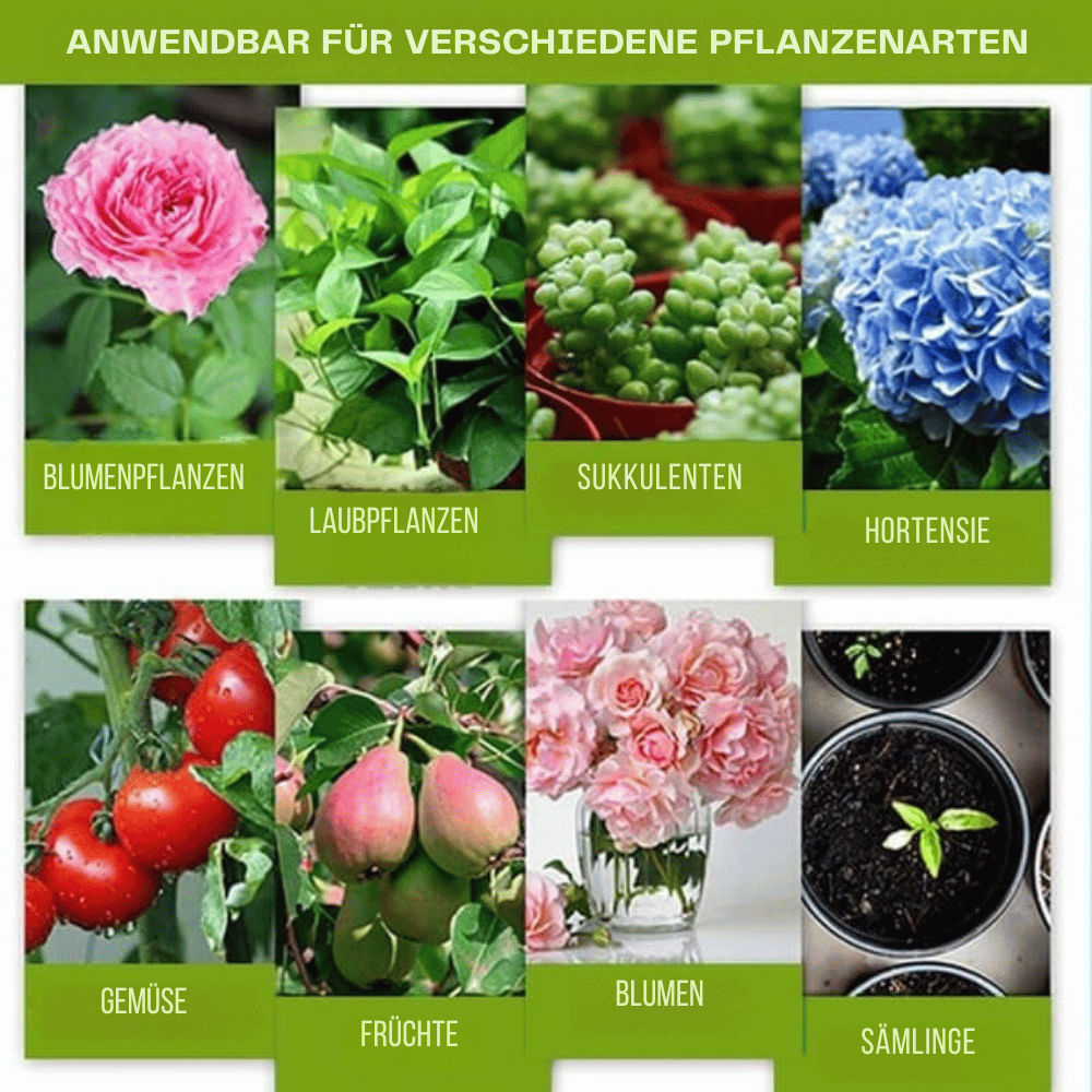 Liquid Plant Fertilizer Concentrated Bloom & Fruit Booster