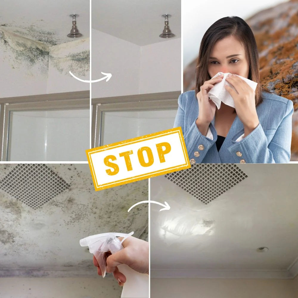 Mold Remover Spray Chlorine-Free Biodegradable Prevents Regrowth