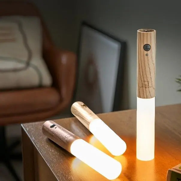 Motion Sensor Wall Lamp Rechargeable USB Magnetic Mount