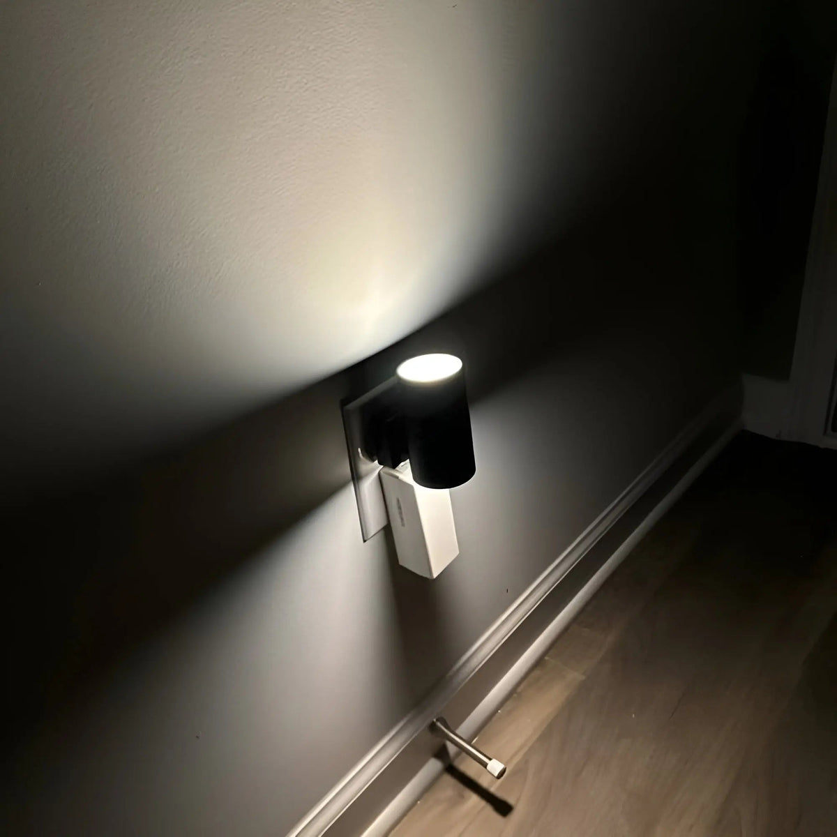 Night Light Plug-In Rotary Dimmer Warm White LED