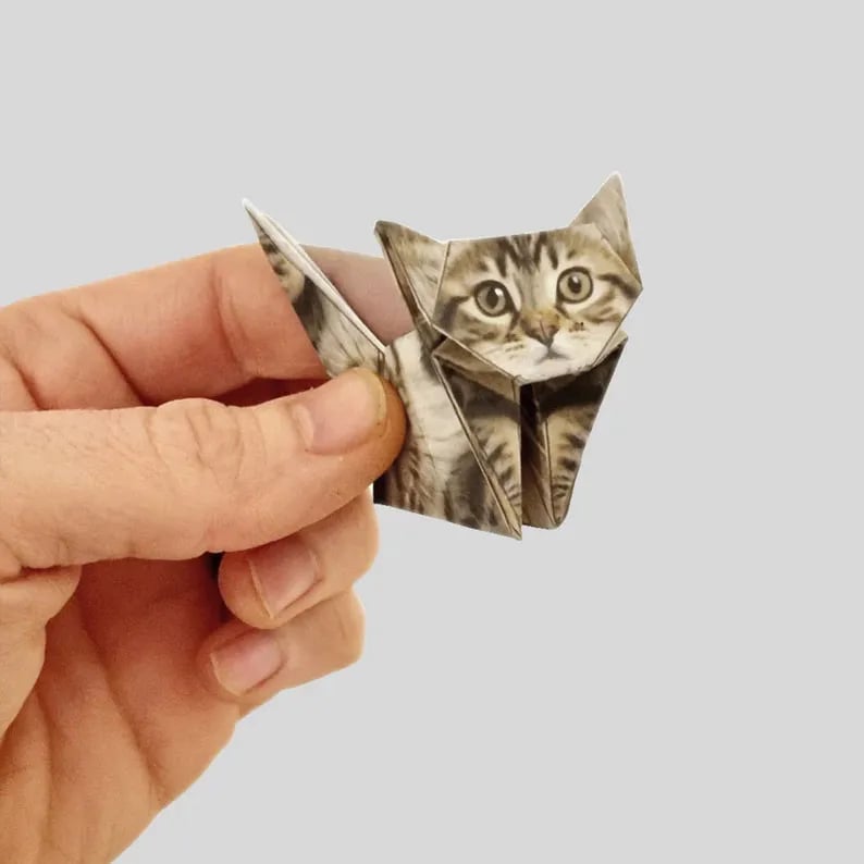 Origami Kit 50 Pre-Printed Animals FSC-Certified Paper Beginner-Friendly
