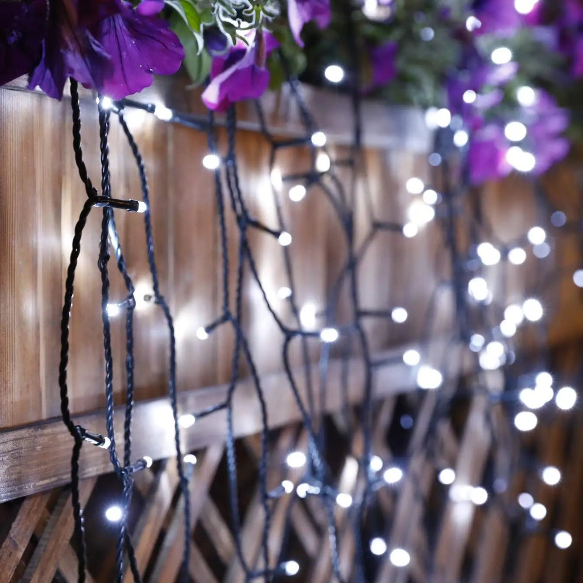 Outdoor String Lights Solar-Powered 8 Modes Weatherproof