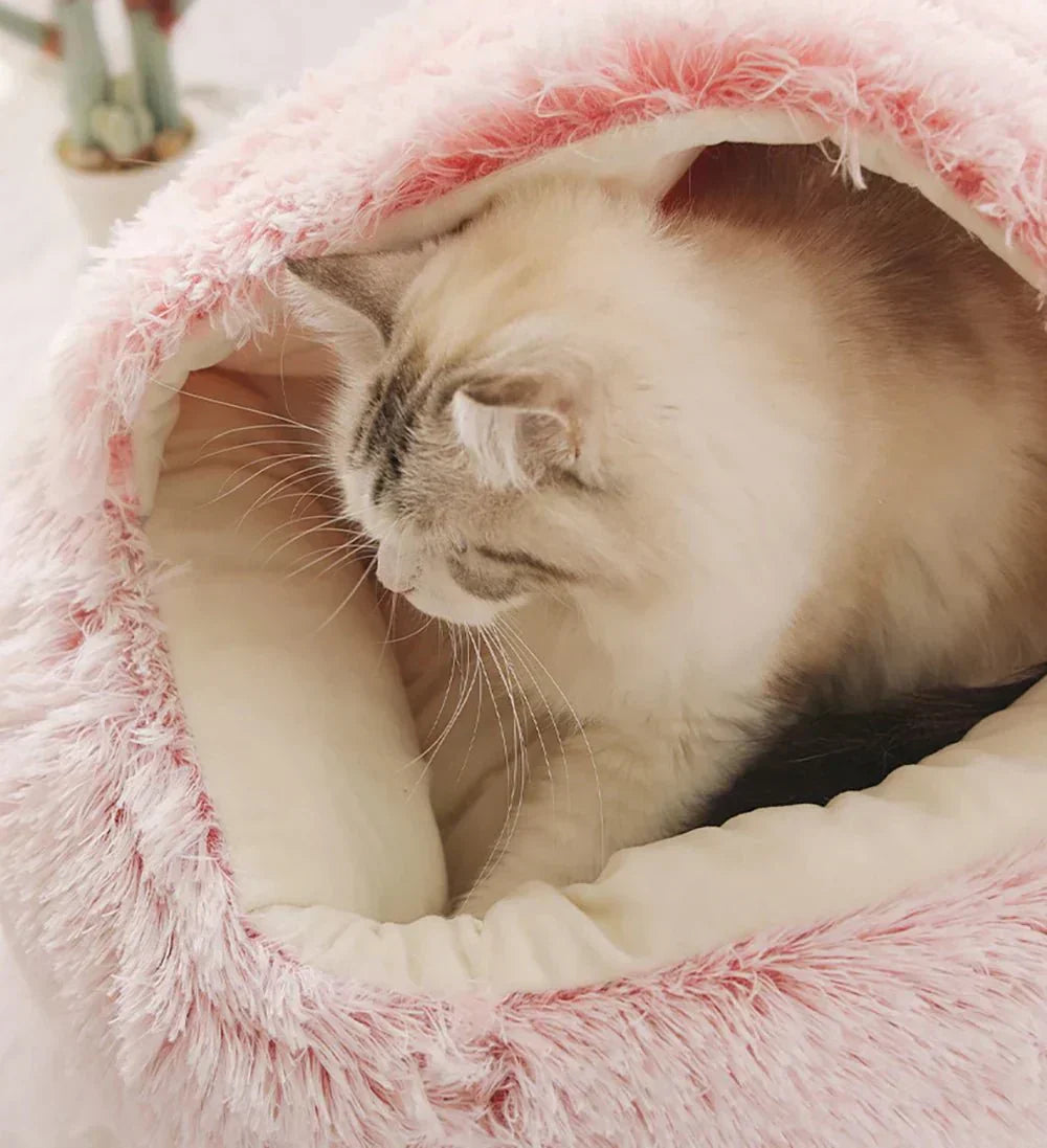 Pet Bed Orthopedic Foam Ultra-Soft Plush Cover