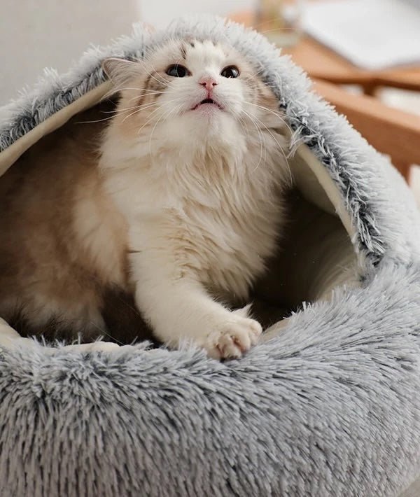 Pet Bed Orthopedic Foam Ultra-Soft Plush Cover
