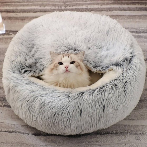 Pet Bed Orthopedic Foam Ultra-Soft Plush Cover