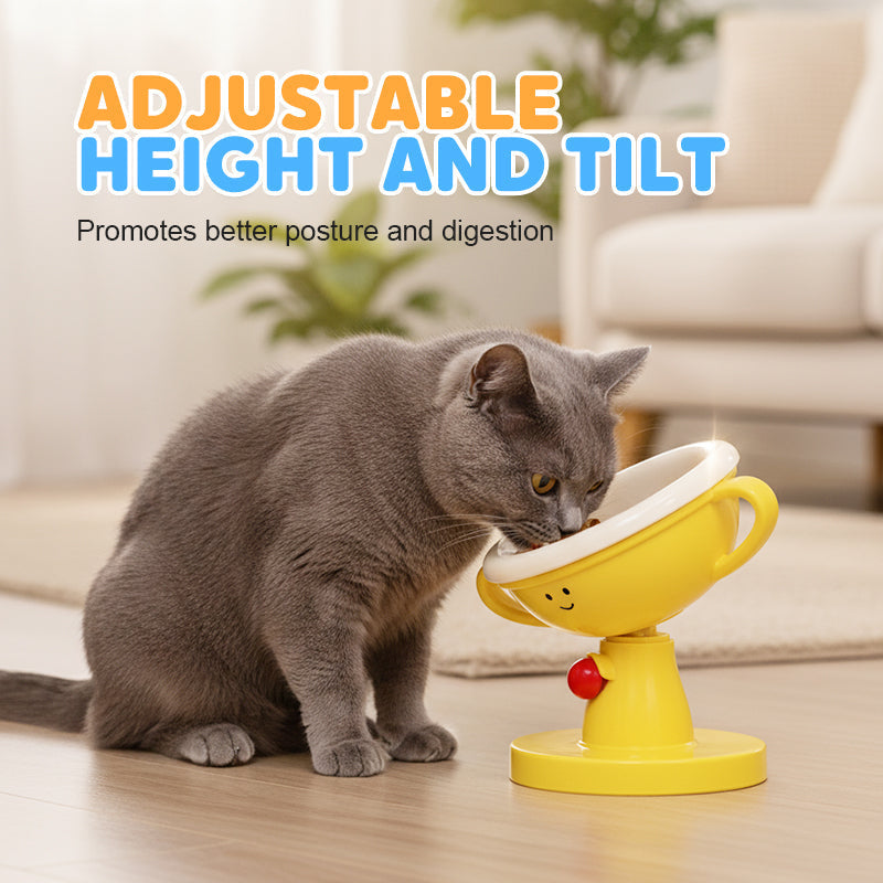 Pet Bowl Adjustable Height & Tilt Glazed Ceramic