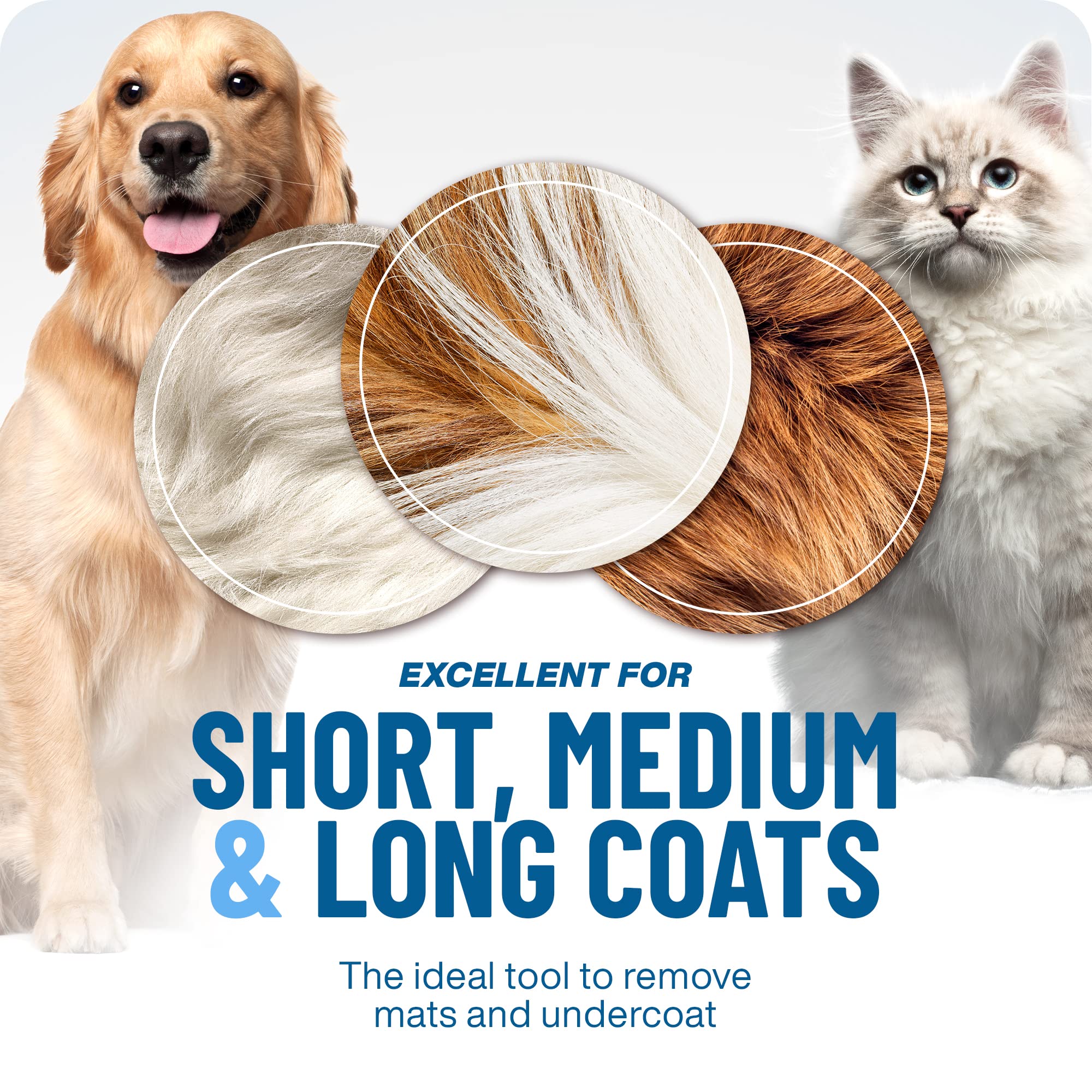 Pet Brush Double-Sided Deshedding & Detangling Stainless Steel Teeth