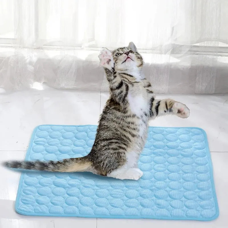 Pet Cooling Mat Pebble-Texture Self-Cooling Machine Washable