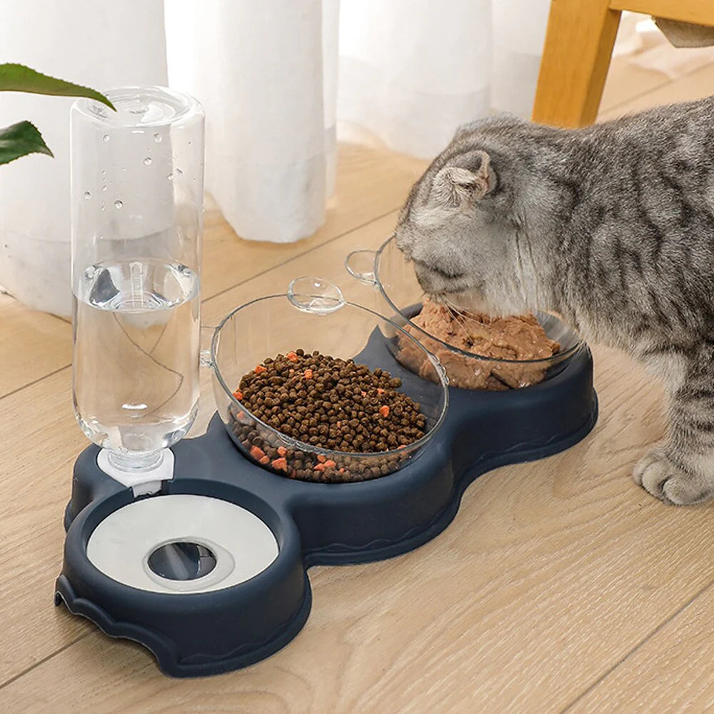 Pet Feeding Station Glass Bowls & Auto Water Dispenser