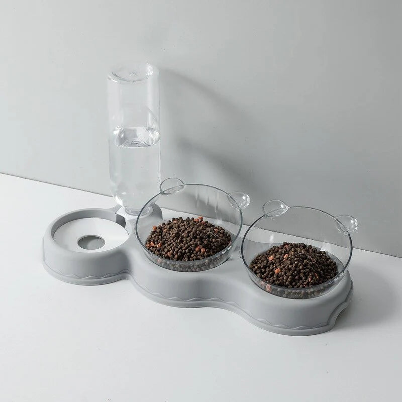 Pet Feeding Station Glass Bowls & Auto Water Dispenser