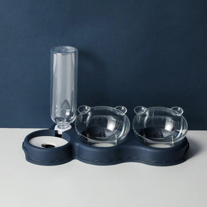 Pet Feeding Station Glass Bowls & Auto Water Dispenser