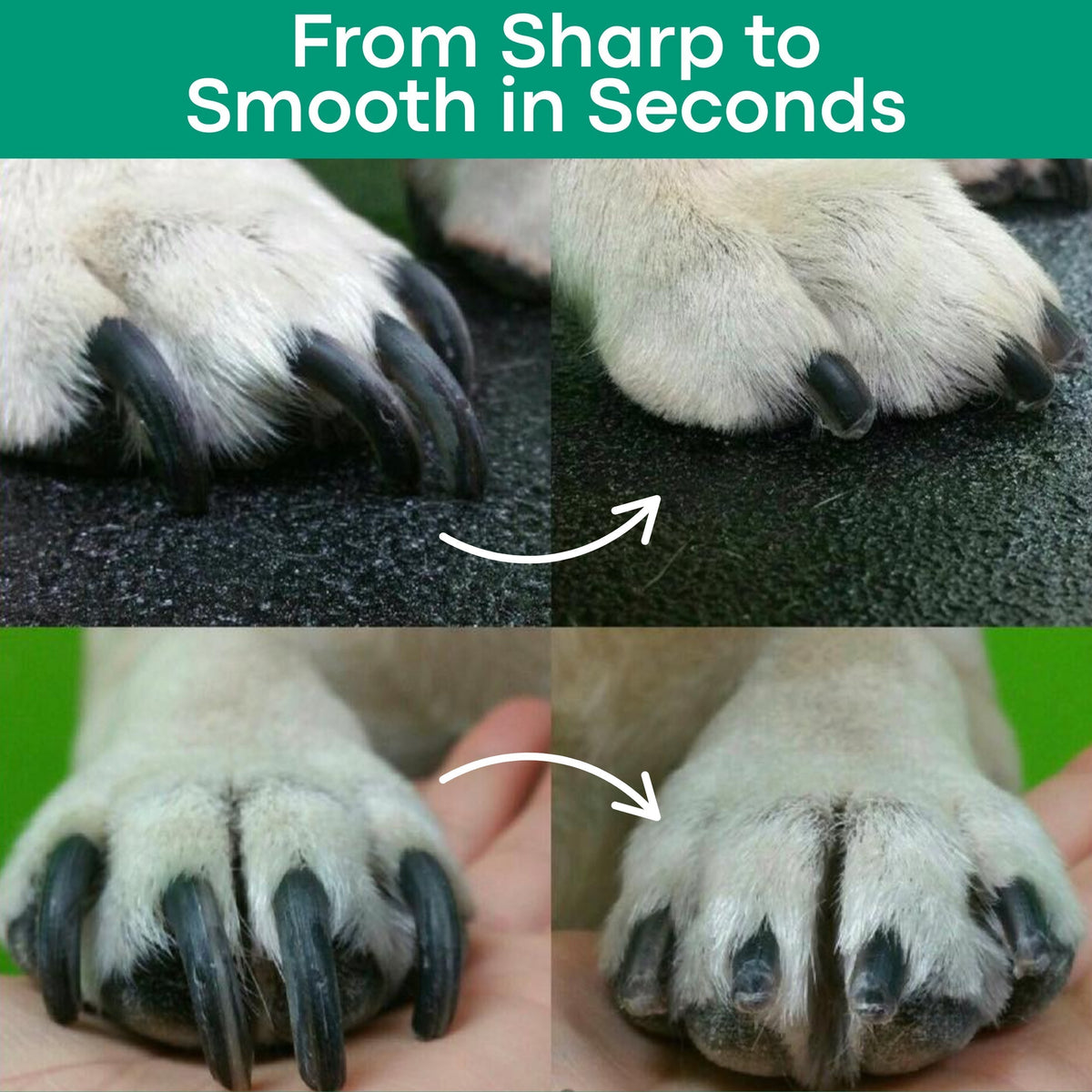 Pet Nail Trimmer Dual LED Whisper-Quiet Grinder