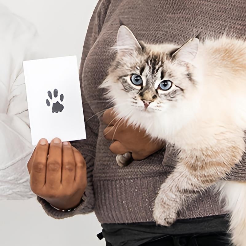 Pet Paw Print Kit Mess-Free Clean-Touch Pad Wood Frame