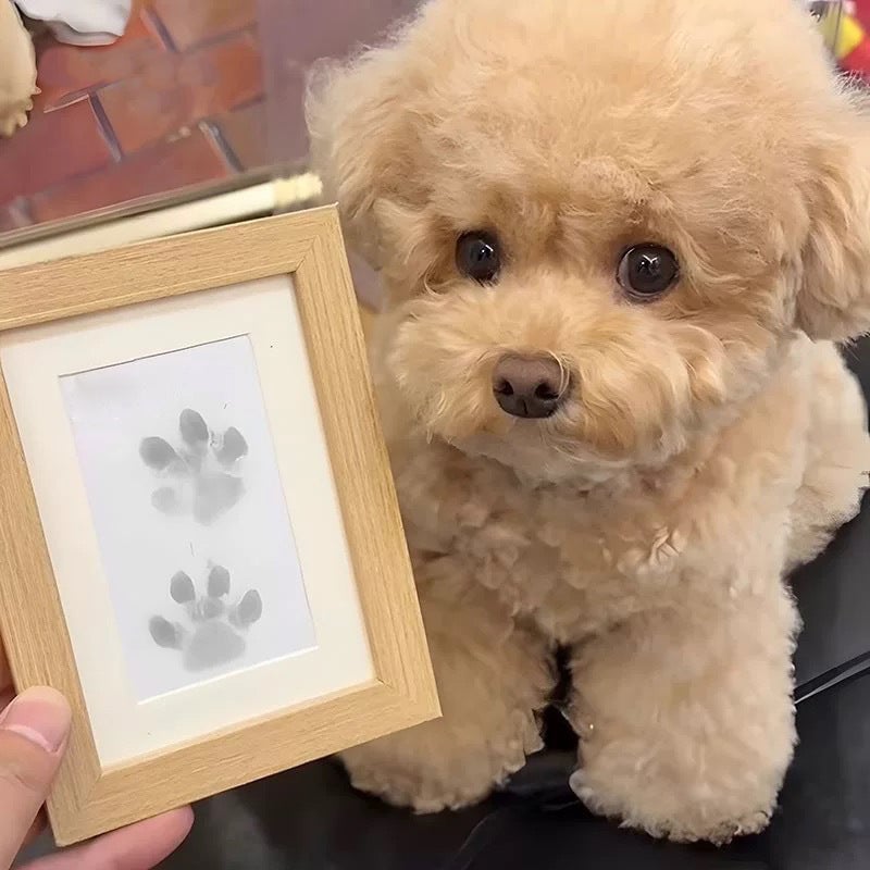 Pet Paw Print Kit Mess-Free Clean-Touch Pad Wood Frame
