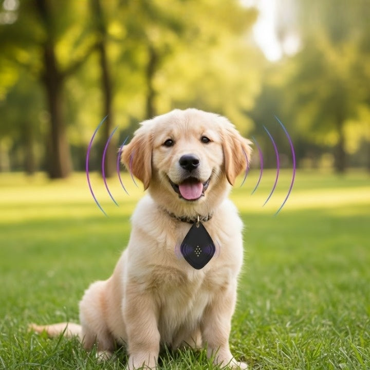 Pet Ultrasonic Repeller Chemical-Free USB Rechargeable