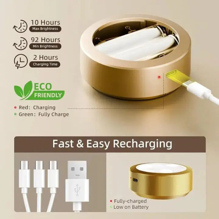 Picture Light Magnetic LED Stepless Dimming 12-Hour Battery