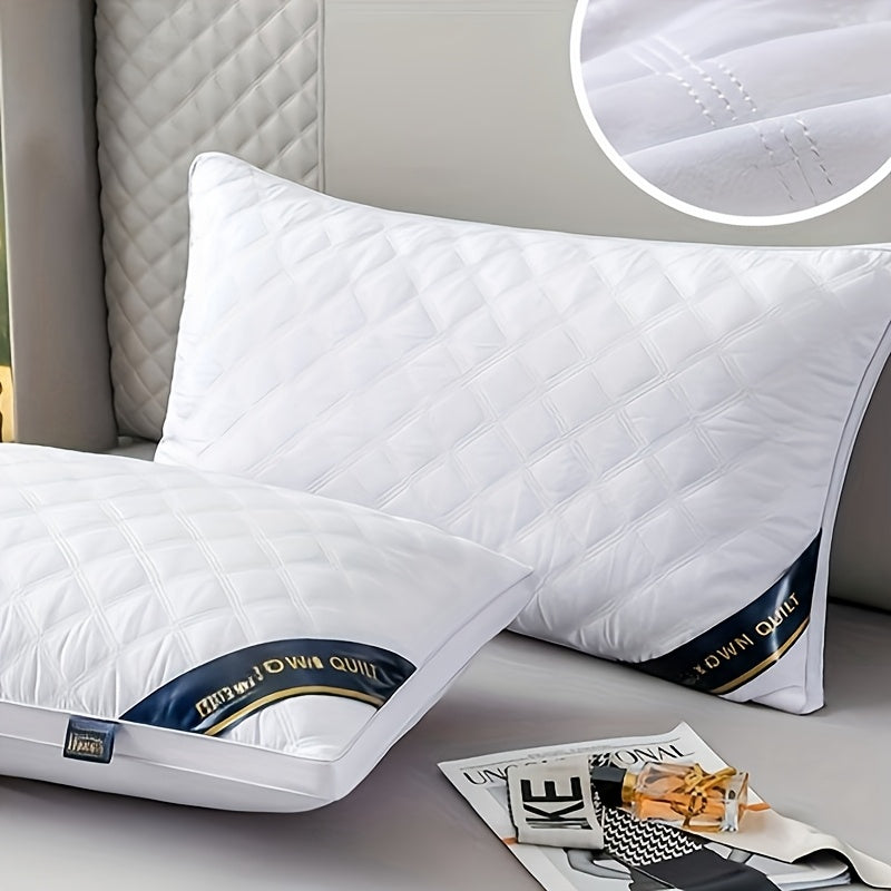Pillows Hypoallergenic 3D Quilted Velvet Cover Set of 2