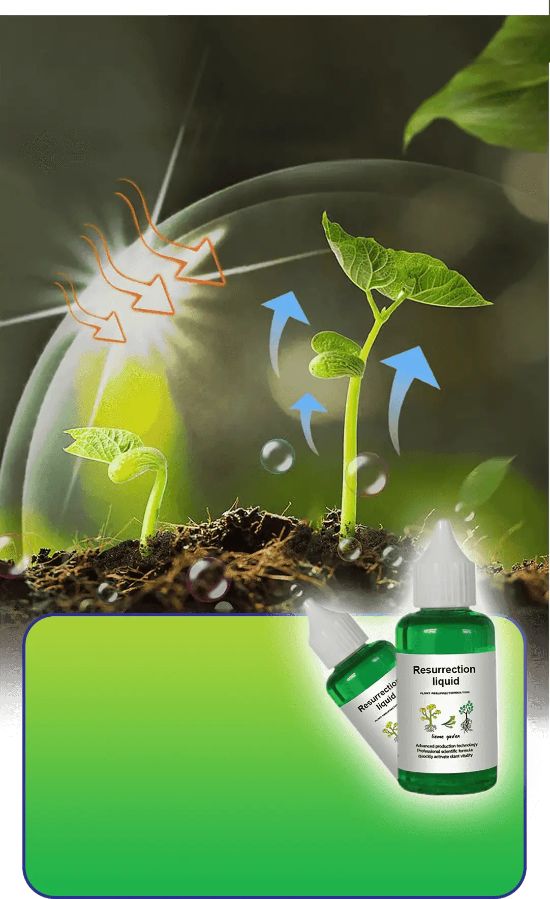 Plant & Flower Activator Stronger Roots & More Blooms