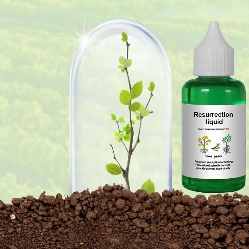 Plant & Flower Activator Stronger Roots & More Blooms