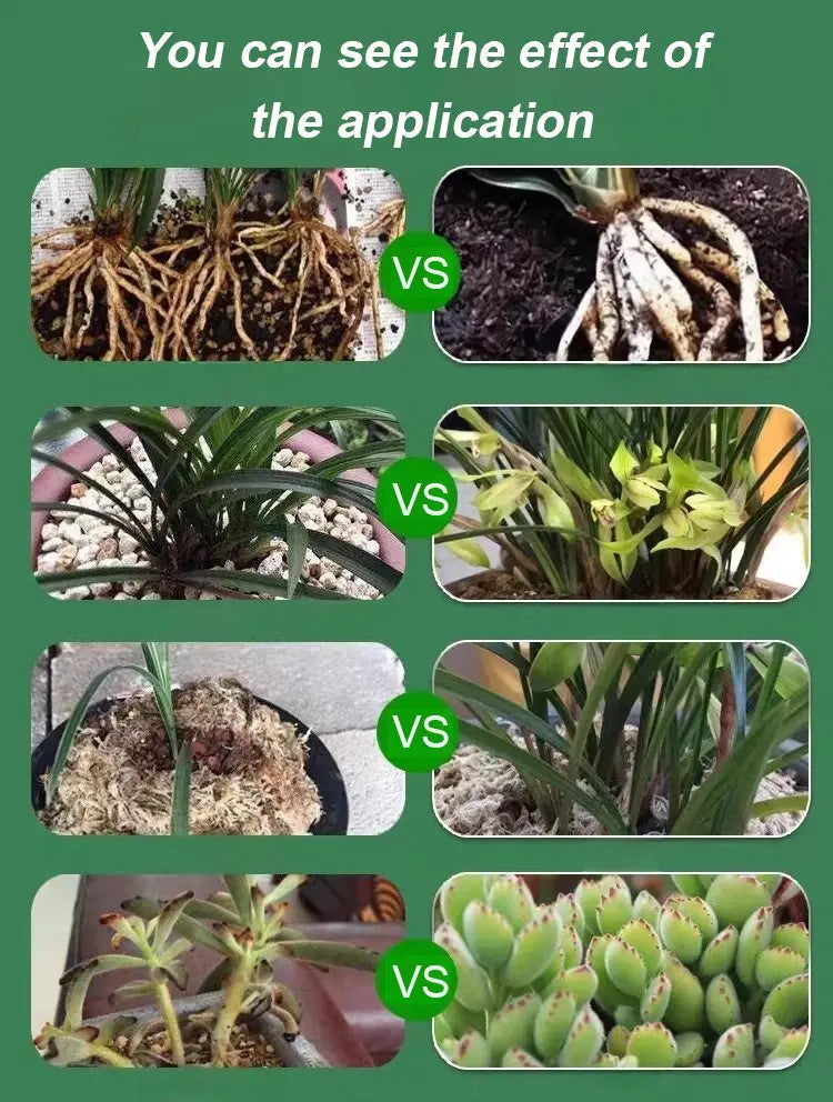 Plant & Flower Activator Stronger Roots & More Blooms