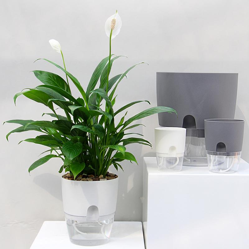 Plant Pot Self-Watering Cotton Wick & Transparent Reservoir