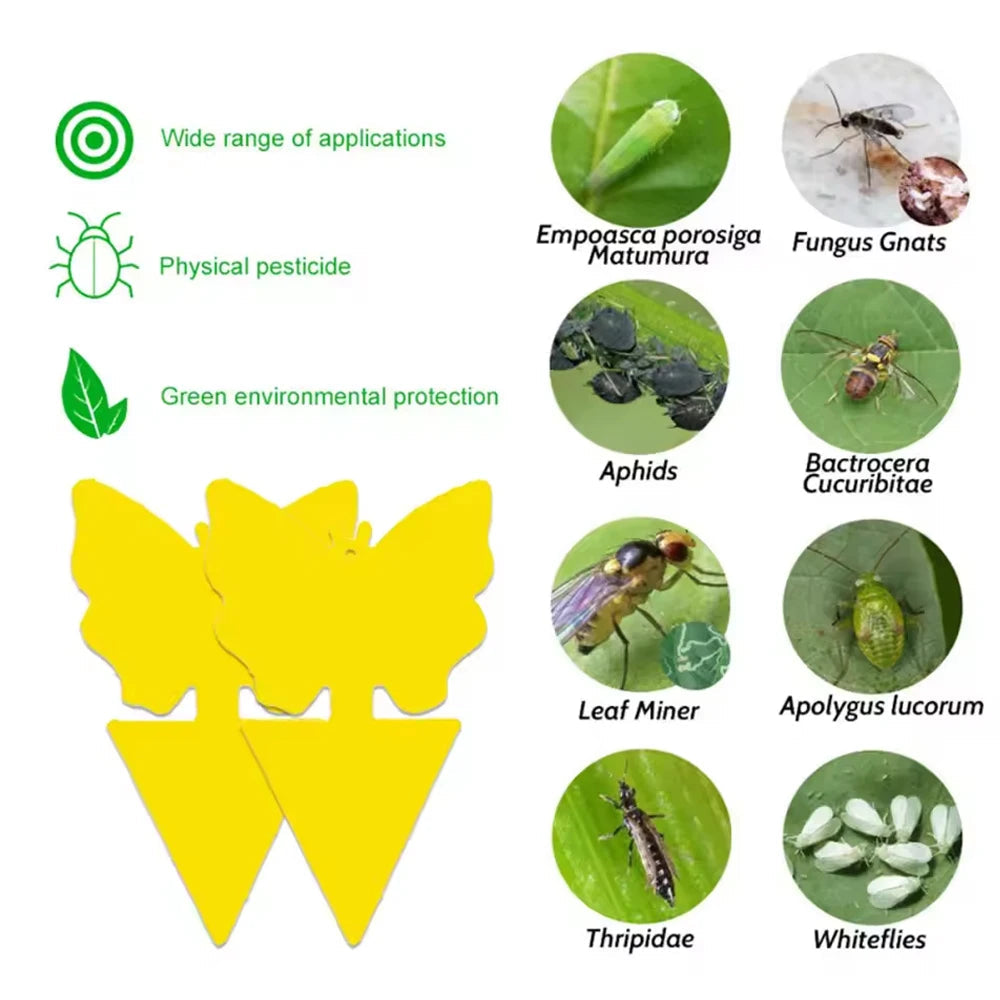 Plant Sticky Traps Chemical-Free Double-Sided Adhesive Butterfly & Sunflower