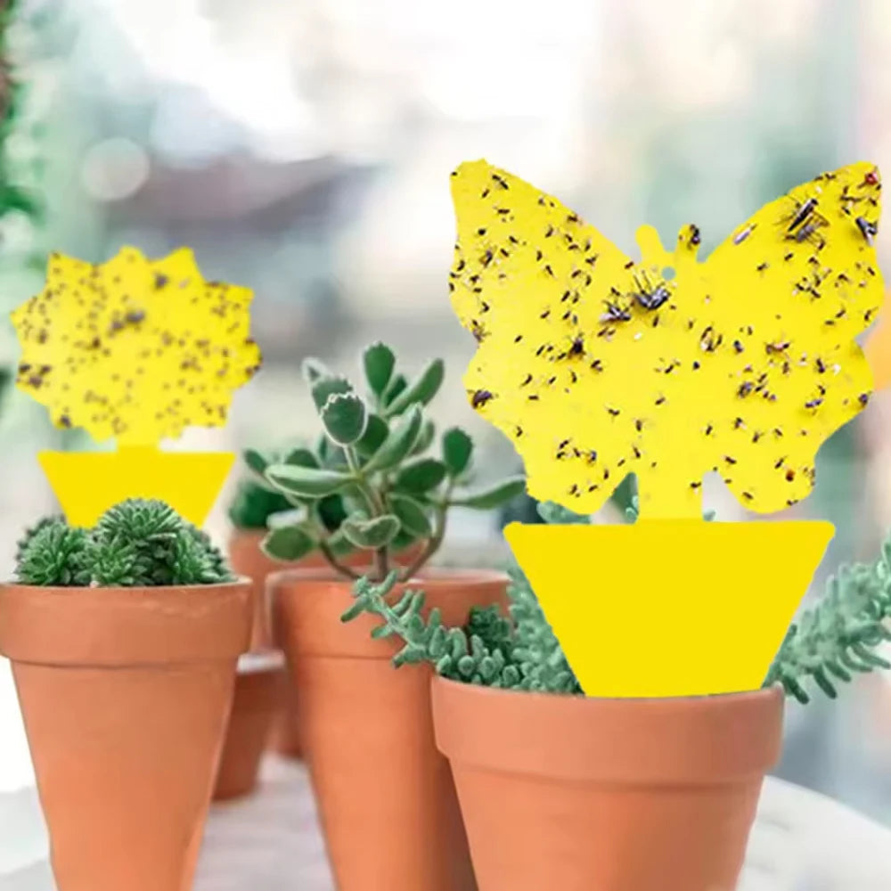 Plant Sticky Traps Chemical-Free Double-Sided Adhesive Butterfly & Sunflower