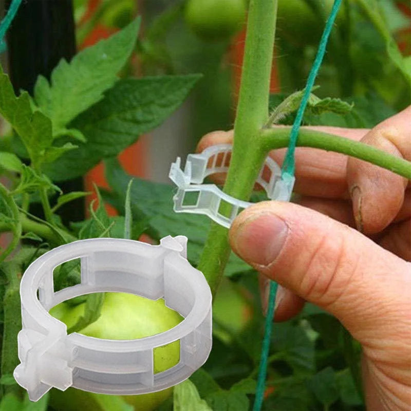 Plant Support Clips Quick-Release Transparent Pack of 100