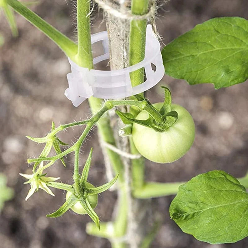 Plant Support Clips Quick-Release Transparent Pack of 100