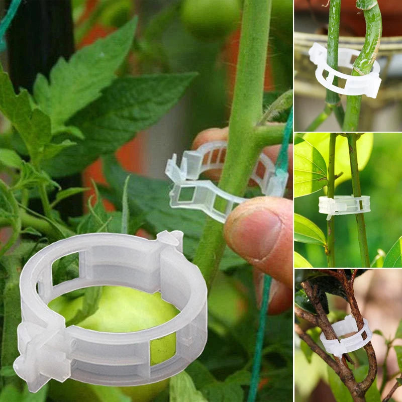 Plant Support Clips Quick-Release Transparent Pack of 100