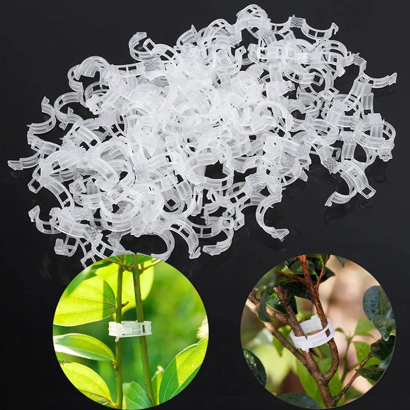 Plant Support Clips Quick-Release Transparent Pack of 100