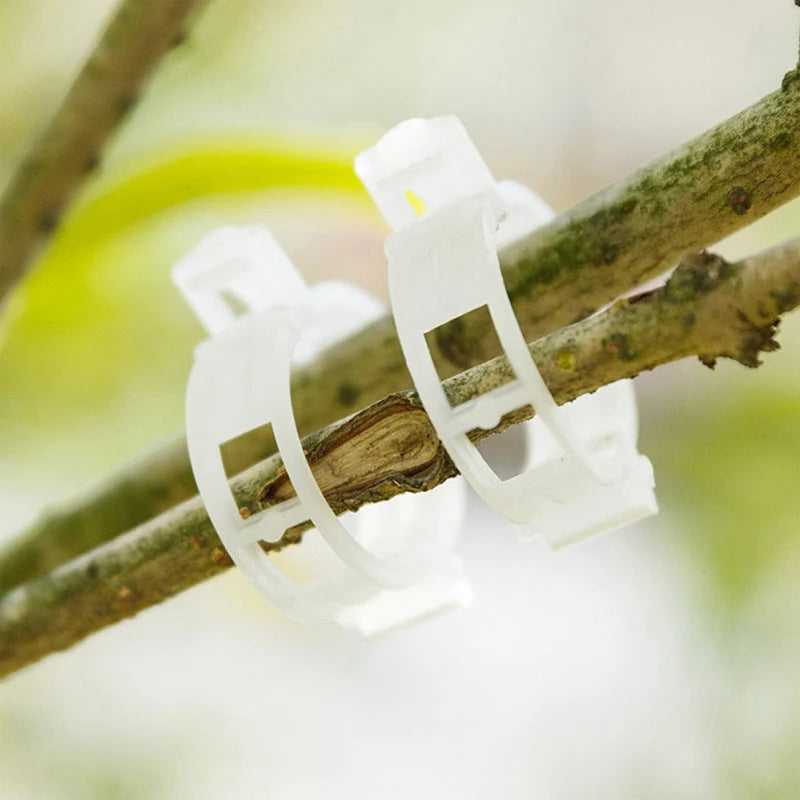 Plant Support Clips Quick-Release Transparent Pack of 100