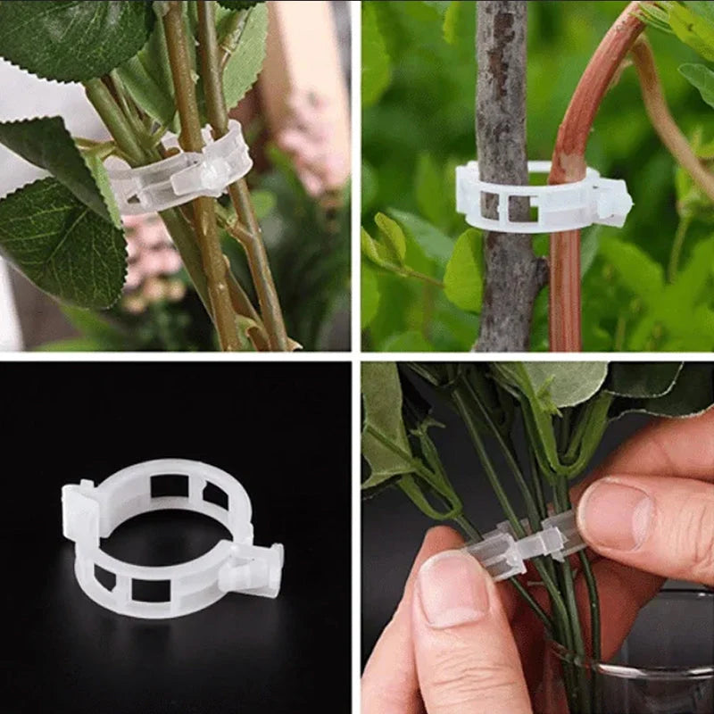 Plant Support Clips Quick-Release Transparent Pack of 100