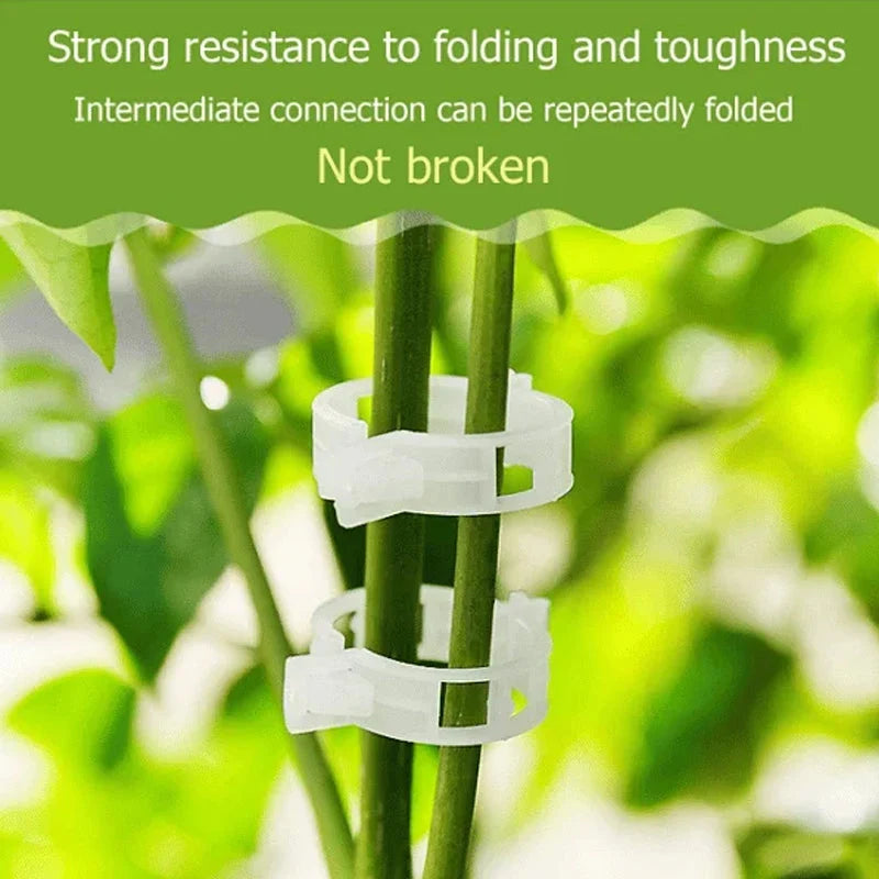 Plant Support Clips Quick-Release Transparent Pack of 100