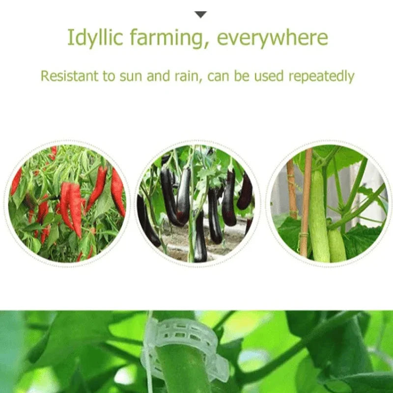 Plant Support Clips Quick-Release Transparent Pack of 100