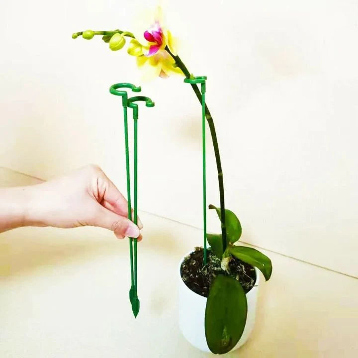 Plant Support Stakes UV-Resistant Tool-Free Set of 20